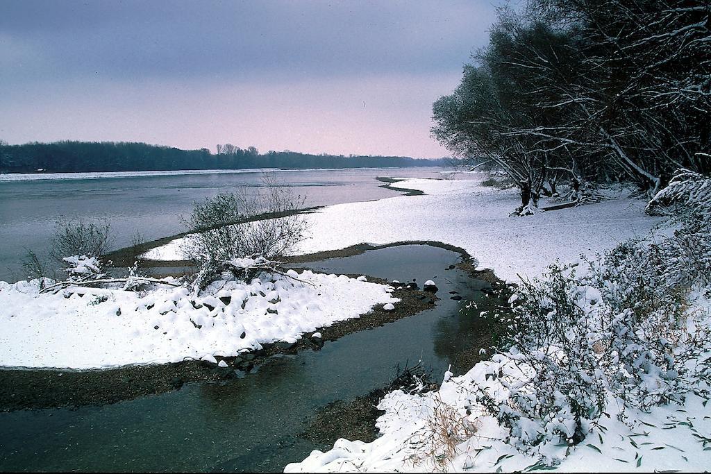 Landhotel Wachau Emmersdorf an der Donau Eksteriør bilde